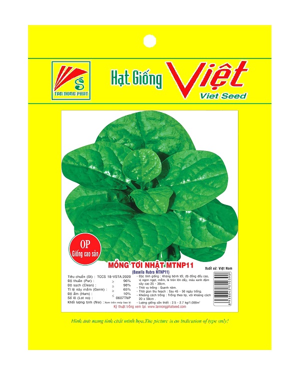 Semi di Spinaci Rampicanti (Basella rubra) - Tan Nong Phat